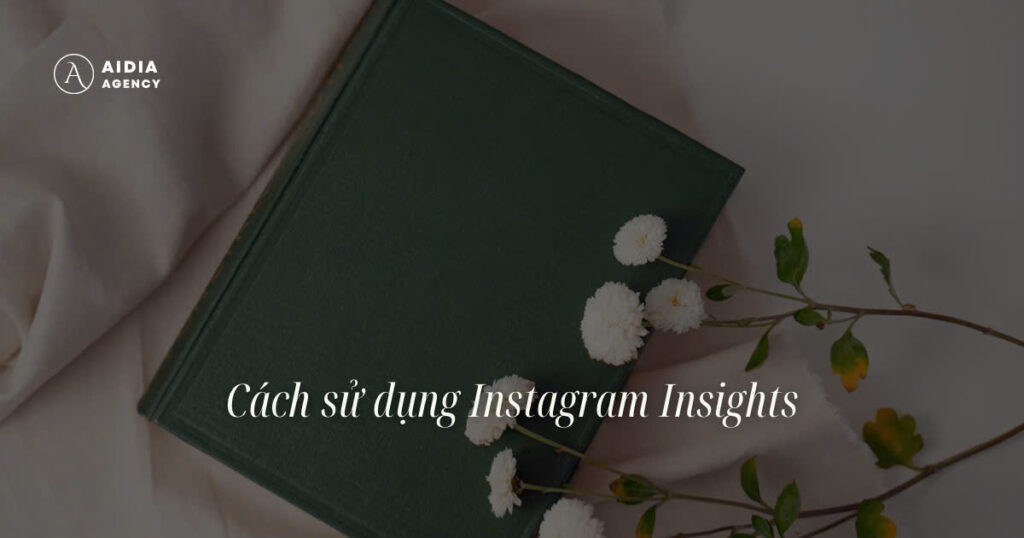 Cách sử dụng Instagram Insight